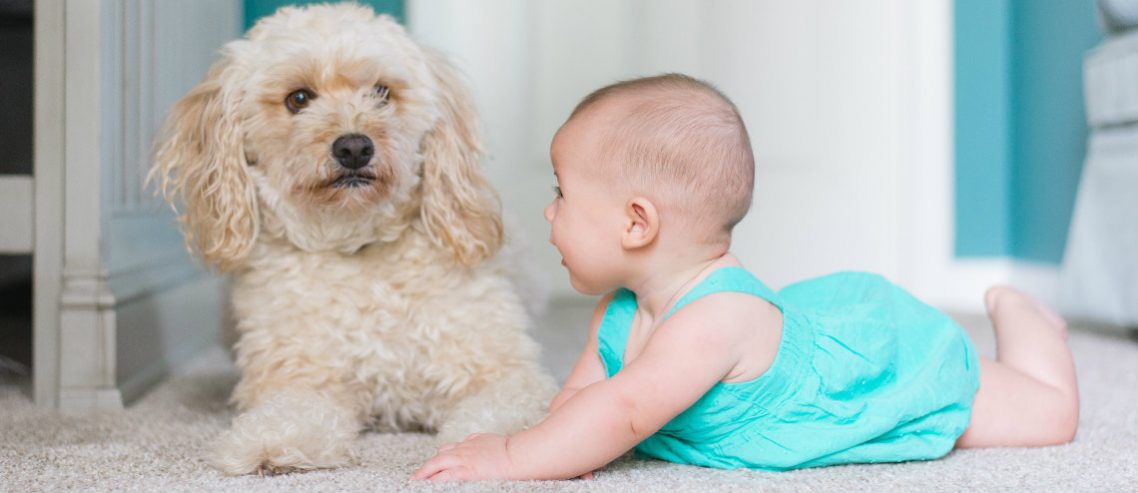 Hong Kong family insurance article
